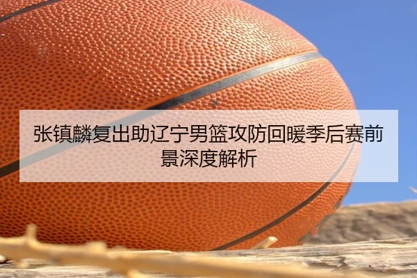 张镇麟复出助辽宁男篮攻防回暖季后赛前景深度解析